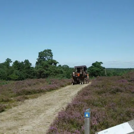 Wollspeicher * Godenstorf