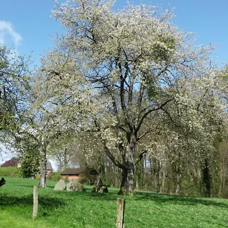 Apartment Wollspeicher *