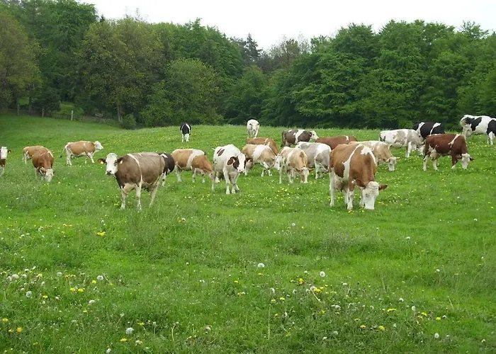 公寓 Wollspeicher Godenstorf