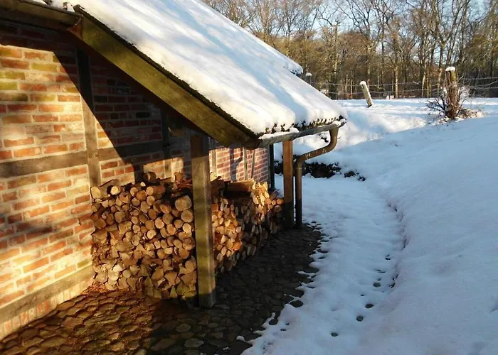 Wollspeicher 公寓 *