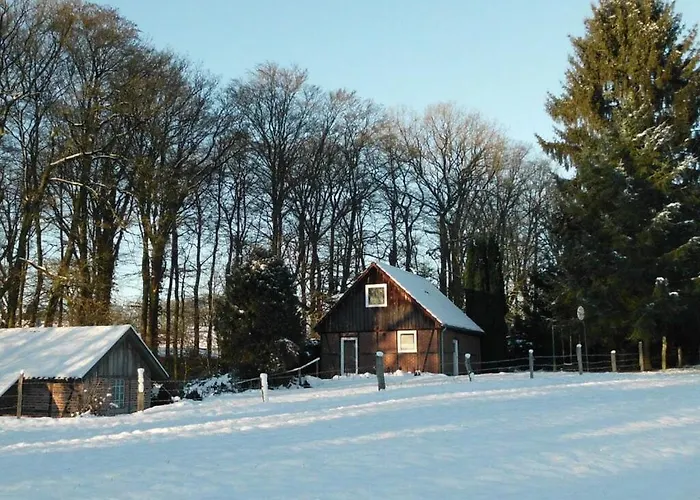 公寓 Wollspeicher Godenstorf