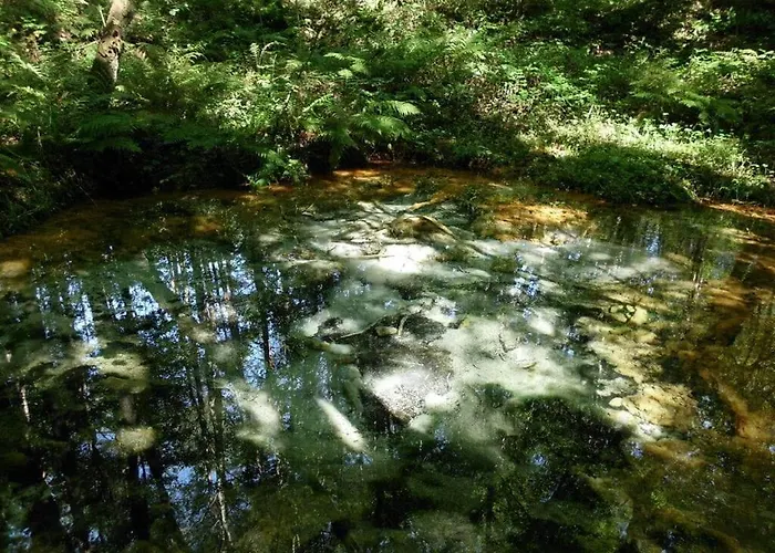 公寓 Wollspeicher Godenstorf